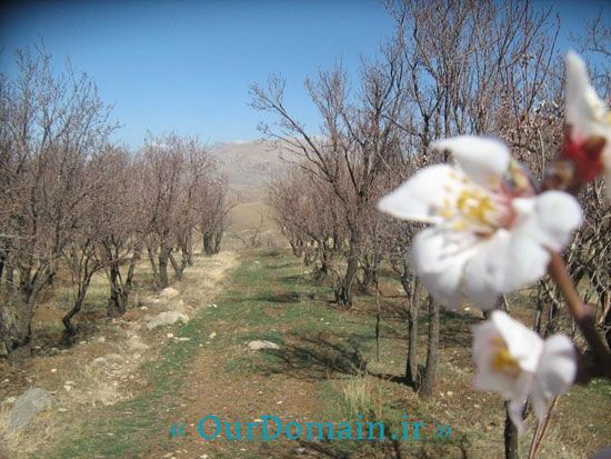 تصاویری زیبا از باغ و قلعه سردار اسعد ( اسعدیه ) شهر چلیچه