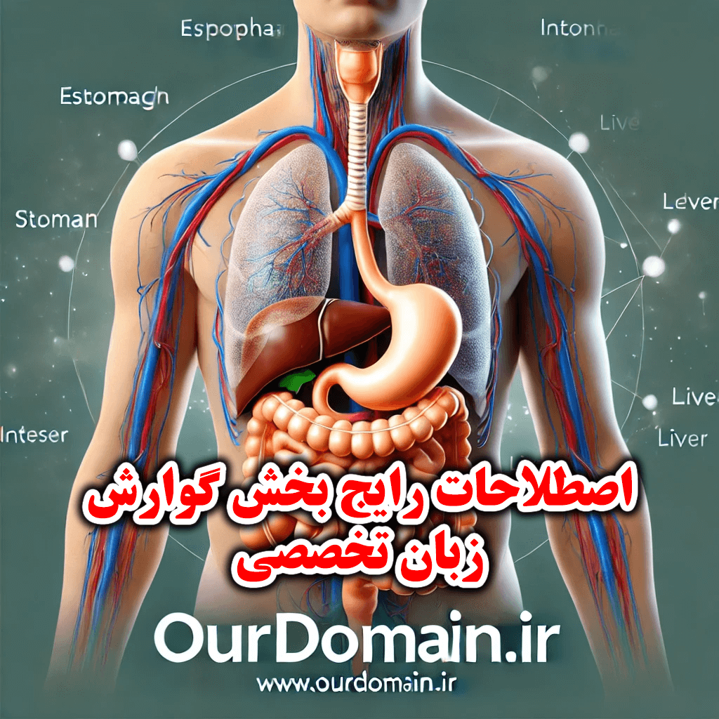 دانلود فایل PDF اصطلاحات فصل گوارش درس زبان تخصصی